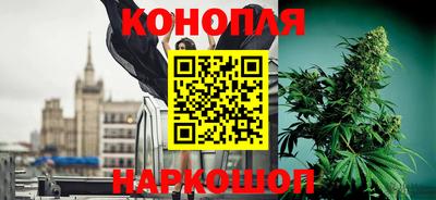 дмт Аша